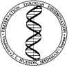 DNA.jpg (538628 bytes)